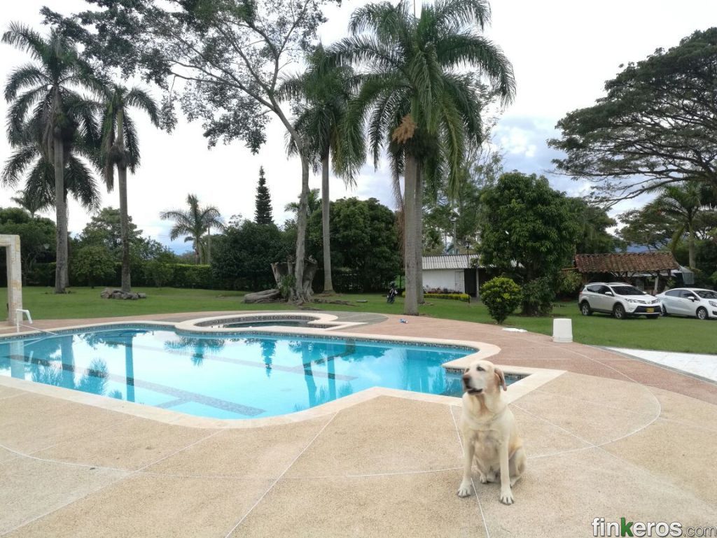 ALQUILA TU FINCA PARA DICIEMBRE DESDE YA!!! - Finca en Pereira, Risaralda